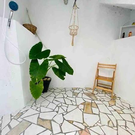 Habitation Nala Proche Bourg Apartment Terre-De-Haut Exterior foto