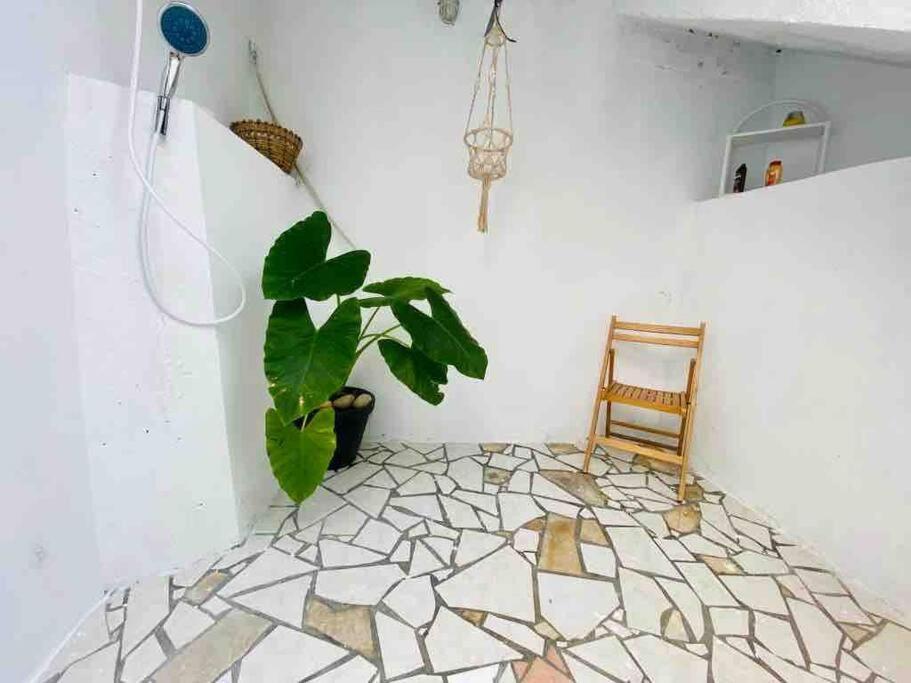 Habitation Nala Proche Bourg Apartment Terre-De-Haut Exterior foto
