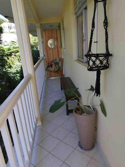Habitation Nala Proche Bourg Apartment Terre-De-Haut Exterior foto